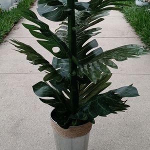 COPY - 30 Inch Artificial Monstera/Palm Plant